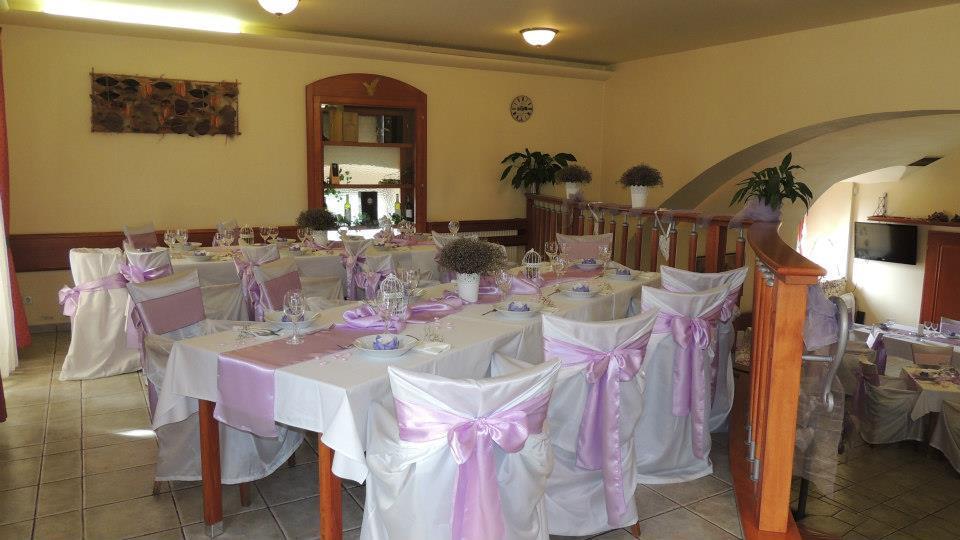 Zamecky Hotel Zlaty Orel Hranice  Zewnętrze zdjęcie